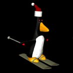 penguin_ski_lb.gif