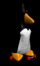 penguin_skate_lb.gif
