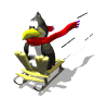 penguin_ride_mw.gif