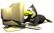 penguin_read_sw.gif