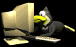 penguin_read_mb.gif
