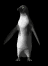 penguin_look_mb.gif