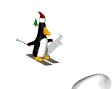 penguin_jump_mw.gif