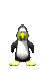 penguin_fly_sc.gif