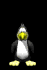 penguin_fly_sb.gif