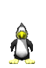 penguin_fly_mc.gif