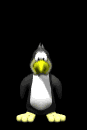 penguin_fly_lb.gif