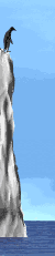 penguin_dive_mw.gif