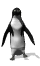 penguin_dance_sw.gif