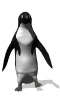 penguin_dance_mw.gif