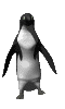 penguin_dance_mc.gif