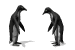 penguin_courtin_mw.gif