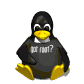 computer_penguin_wearingshirt_sw.gif