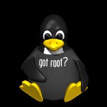 computer_penguin_wearingshirt_lc.gif