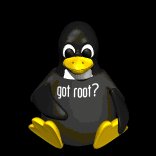 computer_penguin_wearingshirt_lb.gif