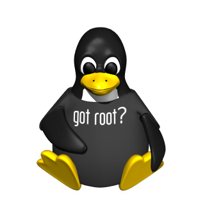 computer_penguin_wearingshirt_hr.jpg