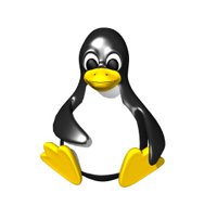 computer_penguin_sitting_hr.jpg
