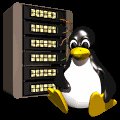 computer_penguin_server_mc.gif