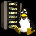 computer_penguin_server_mb.gif