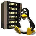 computer_penguin_server_lw.gif