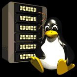 computer_penguin_server_lb.gif