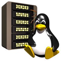 computer_penguin_server_hr.jpg
