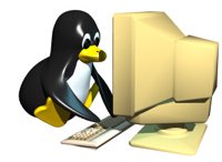 computer_penguin_programming_hr.jpg