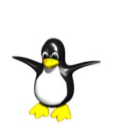 computer_penguin_jumping_hr.jpg