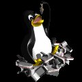 computer_penguin_eatingsardines_mc.gif