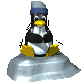 computer_penguin_cold_sc.gif