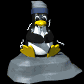 computer_penguin_cold_sb.gif