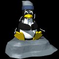 computer_penguin_cold_mb.gif