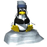 computer_penguin_cold_lw.gif