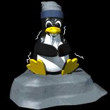 computer_penguin_cold_lb.gif