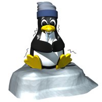 computer_penguin_cold_hr.jpg