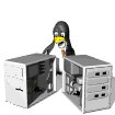 computer_penguin_bug_hunt_sw.gif