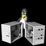 computer_penguin_bug_hunt_mb.gif