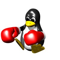 computer_penguin_boxing_hr.jpg