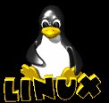 computer_penguin_blinking_mc.gif