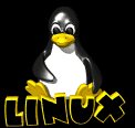 computer_penguin_blinking_mb.gif