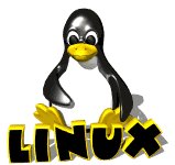 computer_penguin_blinking_lw.gif