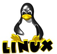 computer_penguin_blinking_hr.jpg