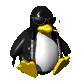computer_penguin_badboy_sc.gif