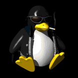 computer_penguin_badboy_lb.gif
