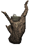 nest_tree_chikadees_c_a_sc.gif