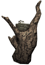 nest_tree_chikadees_c_a_mw.gif