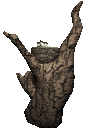 nest_tree_chikadees_c_a_mc.gif
