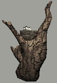 nest_tree_chikadees_c_a_lc.gif