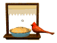 curious_cardinal_and__a_sw.gif