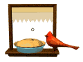 curious_cardinal_and__a_mw.gif